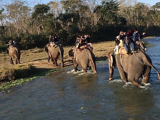 Chitwan National Park Nepal