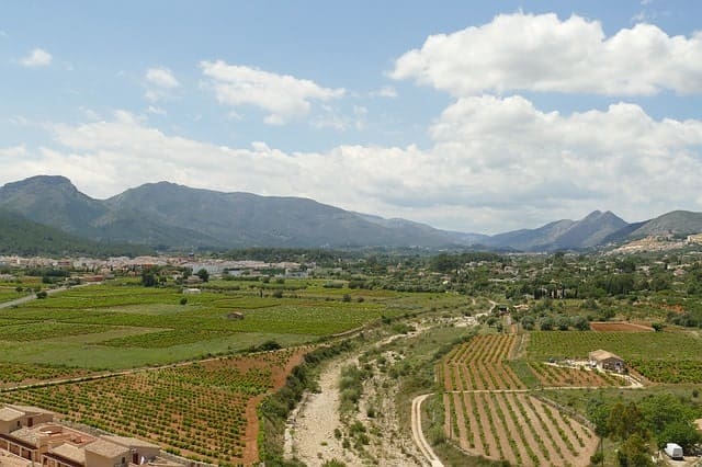 Vineyards in Spain