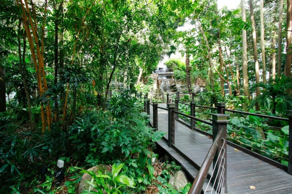 KLIA Rainforest Boardwalk