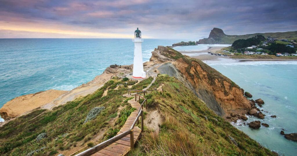 Wellington NZ Hikes