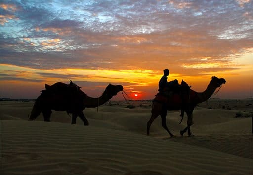 India Desert Safari