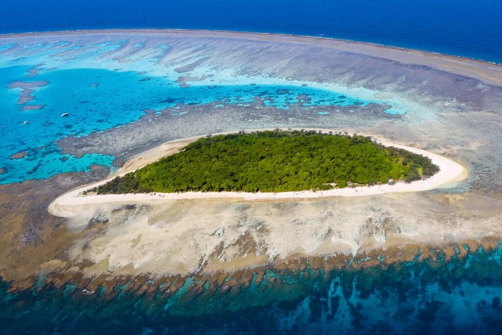 Lady Musgrave Island Australia