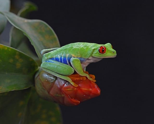 Costa Rica Sustainable Tourism