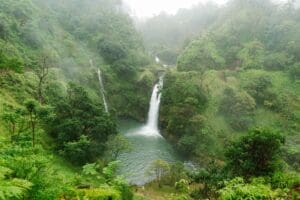 Hana Road Trips Hawaii