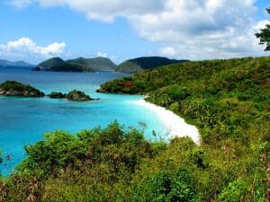 Trunk Bay USVI