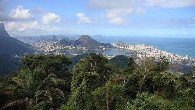 South America Rain Forests