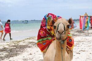 Kenya Beach