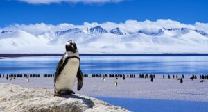 Antarctica Travel Tips